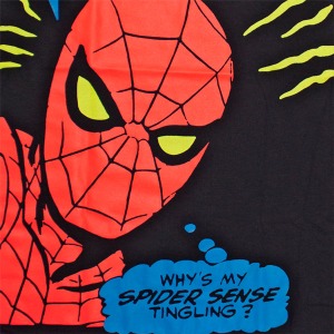 spider-sense - Why